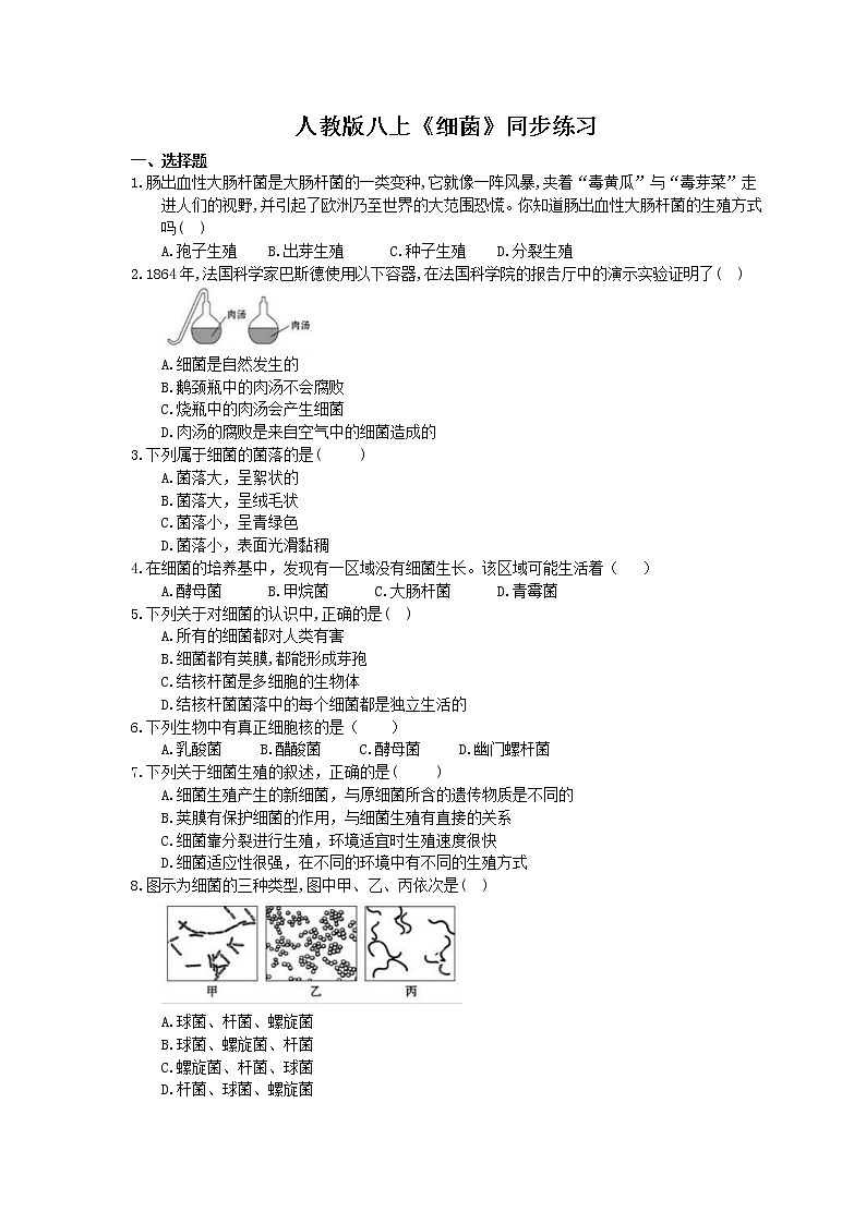 人教版生物八上《细菌》同步练习(含答案)01