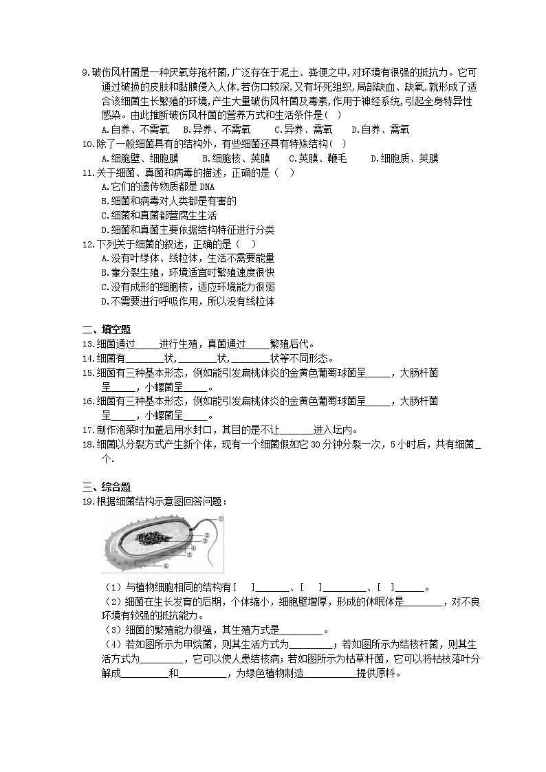 人教版生物八上《细菌》同步练习(含答案)02