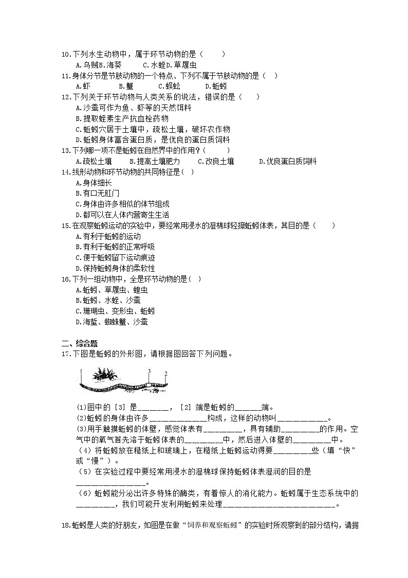 人教版生物八上《线形动物和环节动物》同步练习(含答案)02