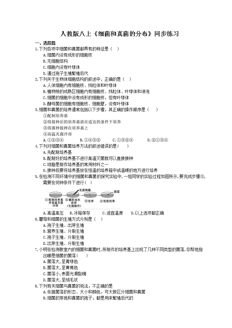 人教版生物八上《细菌和真菌的分布》同步练习(含答案)01