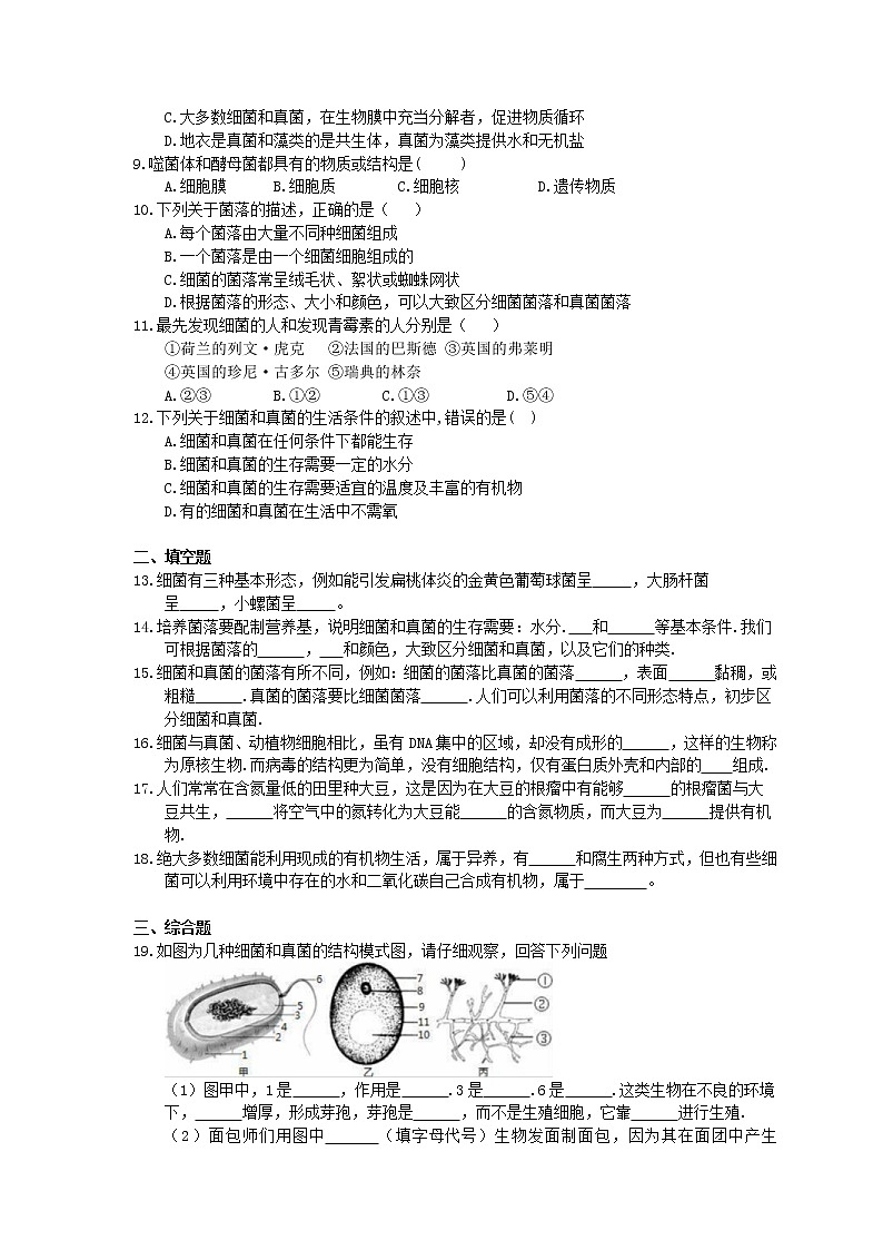 人教版生物八上《细菌和真菌的分布》同步练习(含答案)02