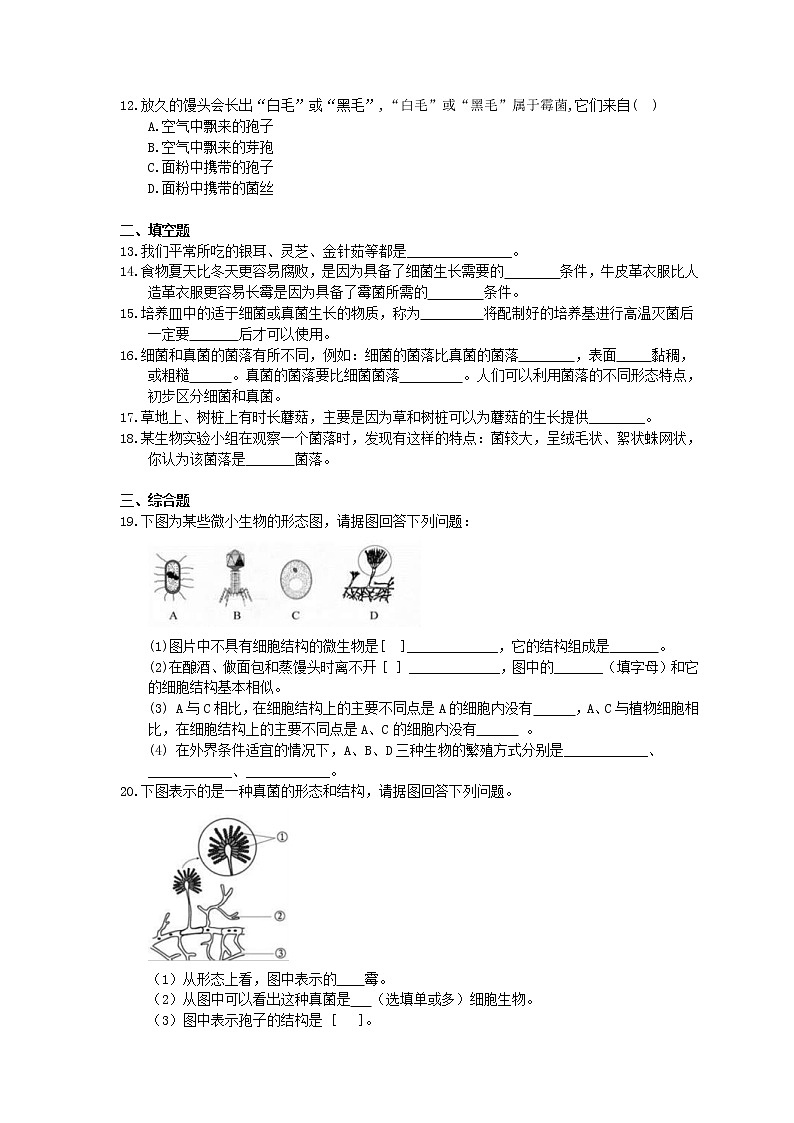 人教版生物八上《真菌》同步练习(含答案)02