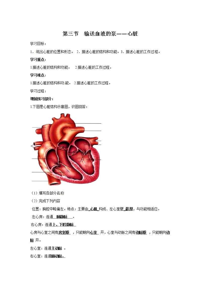 2021年人教版 七年级生物下册 第4章第3节 输送血液的泵——心脏 学案01