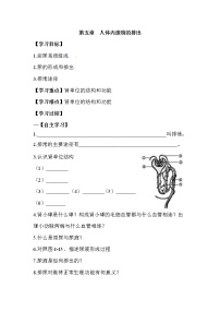 人教版 (新课标)七年级下册第五章 人体内废物的排出学案设计