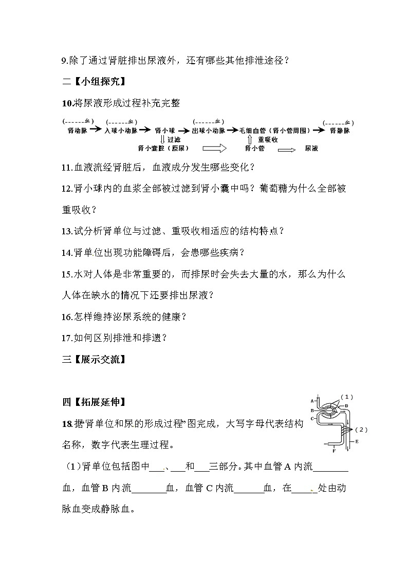 2021年人教版 七年级生物下册 第5章  人体内废物的排出 学案02