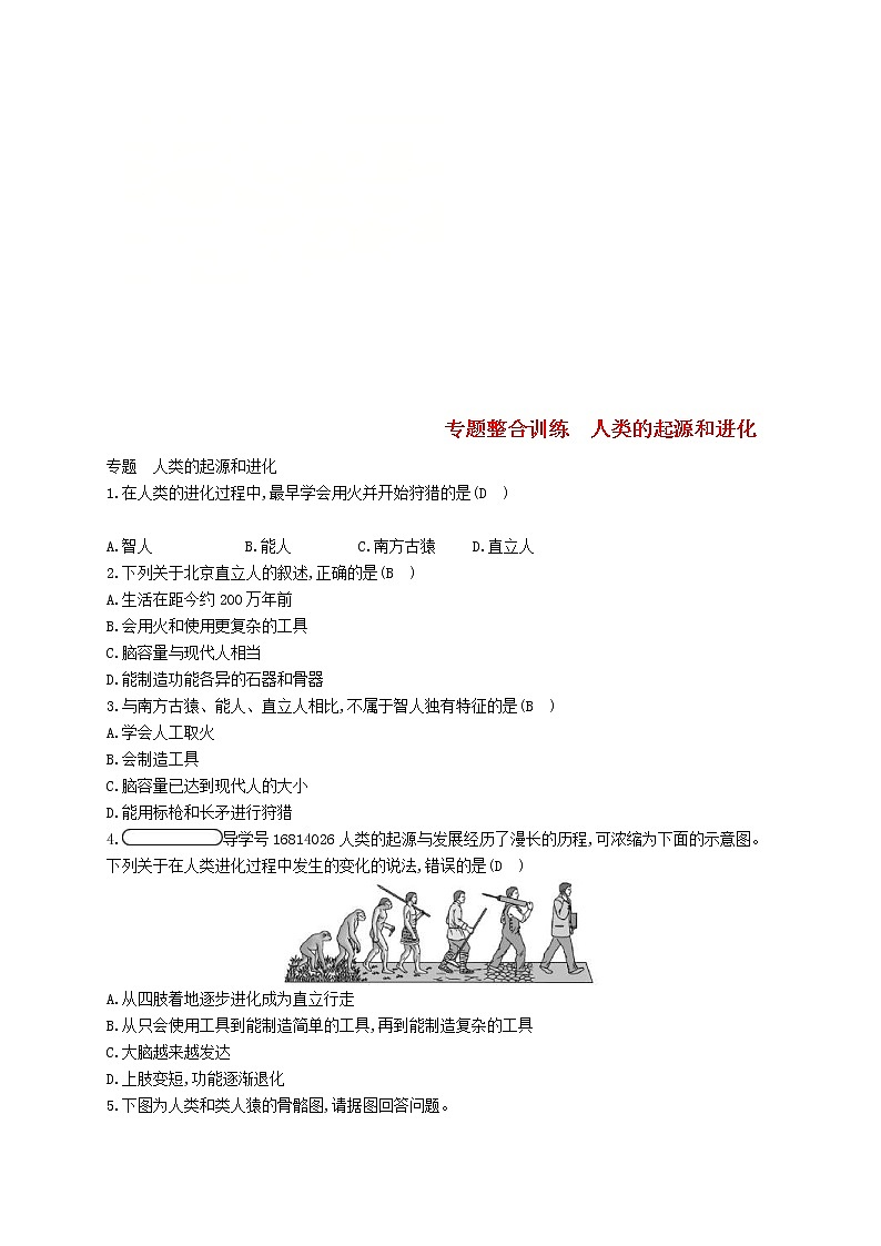2021年济南版八年级生物下册专题整合训练人类的起源和进化(含答案)01