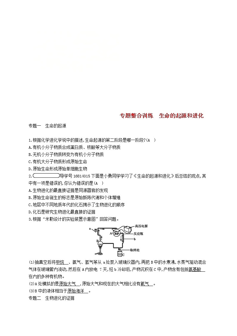 2021年济南版八年级生物下册专题整合训练生命的起源和进化(含答案)01