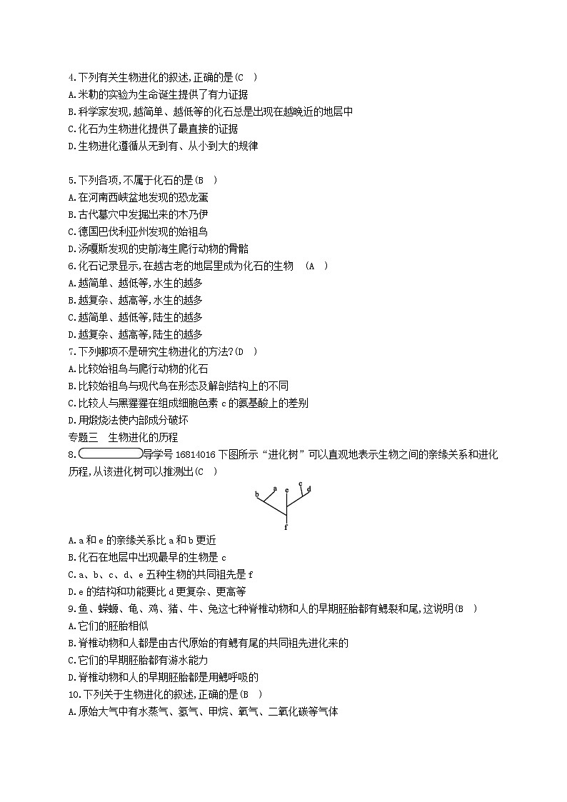 2021年济南版八年级生物下册专题整合训练生命的起源和进化(含答案)02