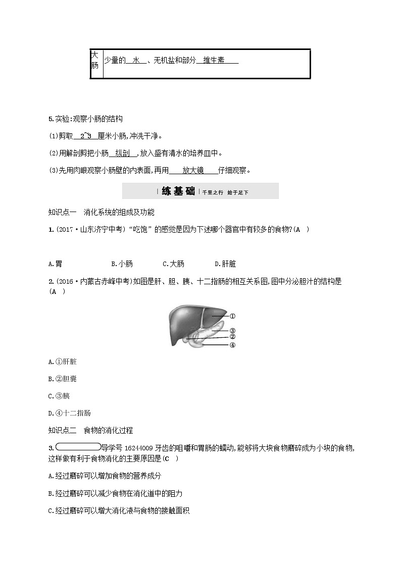 济南版七年级生物下册3.1.2消化和吸收 检测(含答案)02