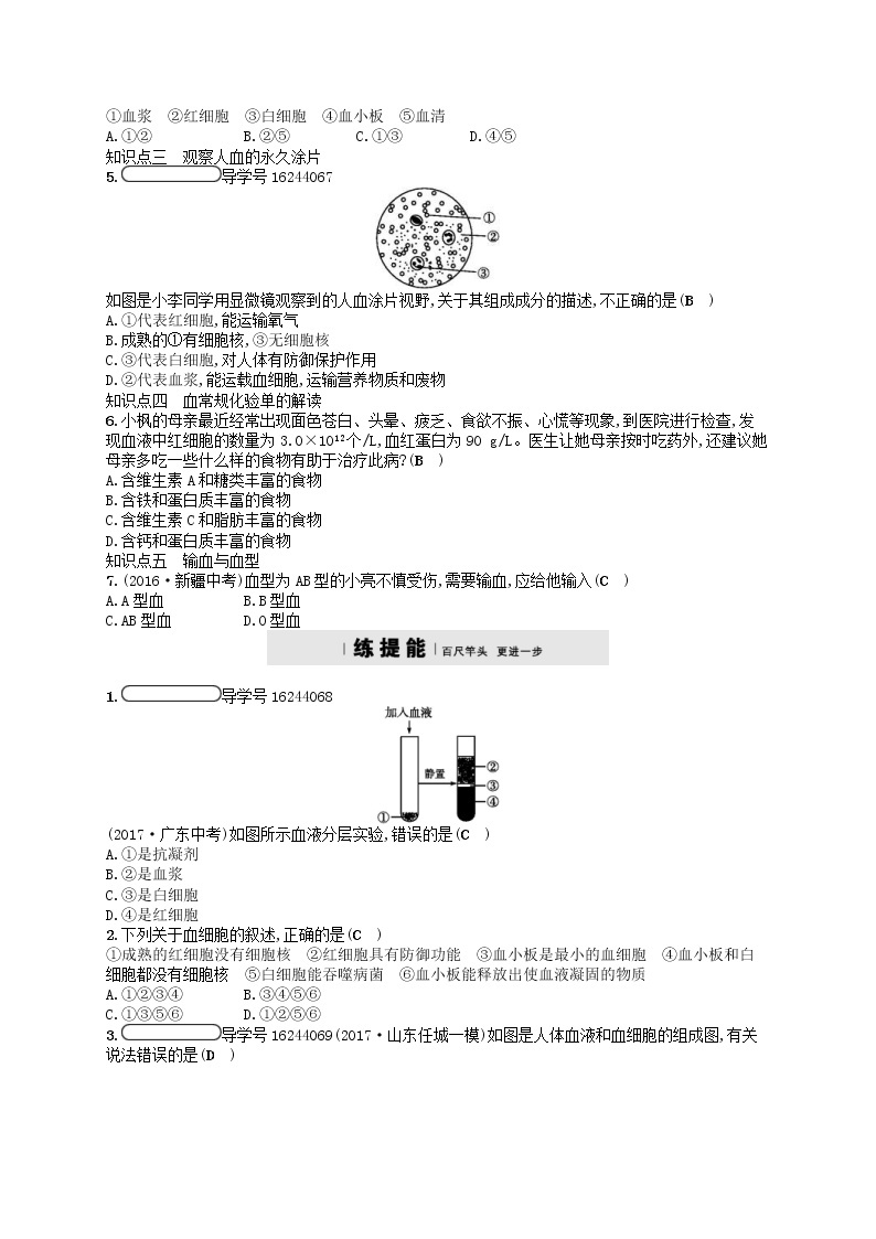 济南版七年级生物下册3.3.1物质运输的载体 检测(含答案)02