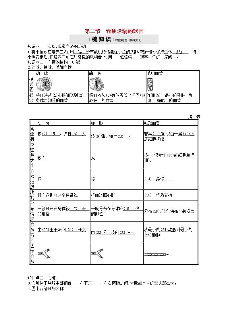 济南版七年级生物下册3.3.2物质运输的器官 检测(含答案)01