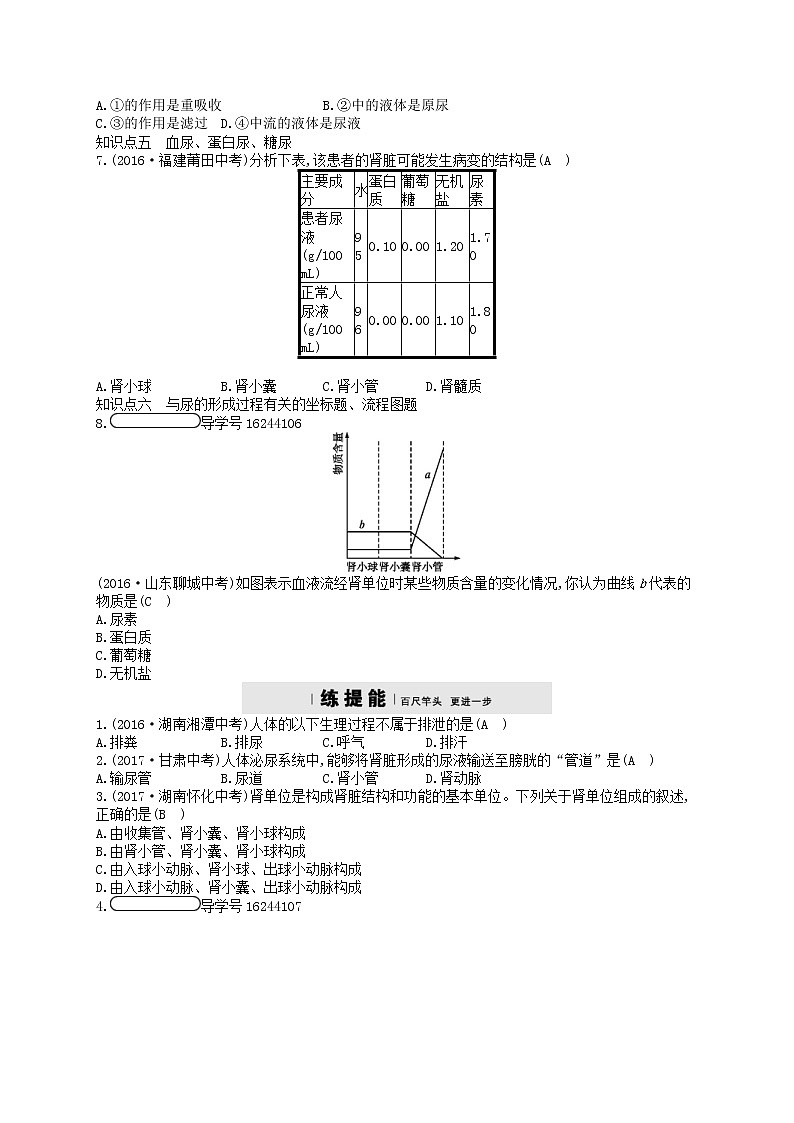 济南版七年级生物下册3.4.1尿液的形成和排出 检测(含答案)03