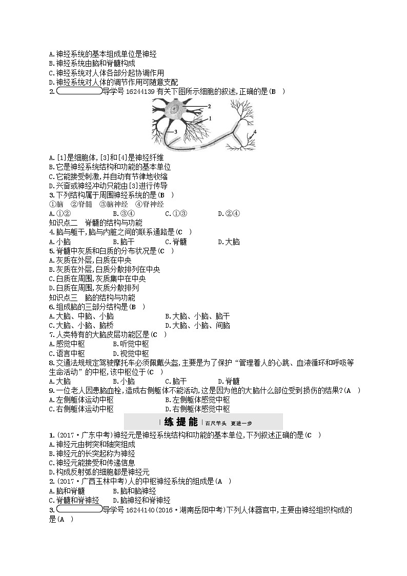济南版七年级生物下册3.5.2神经调节的结构基础 检测(含答案)02