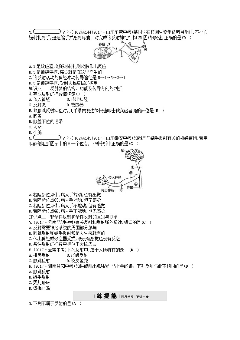 济南版七年级生物下册3.5.3神经调节的基本方式 检测(含答案)02