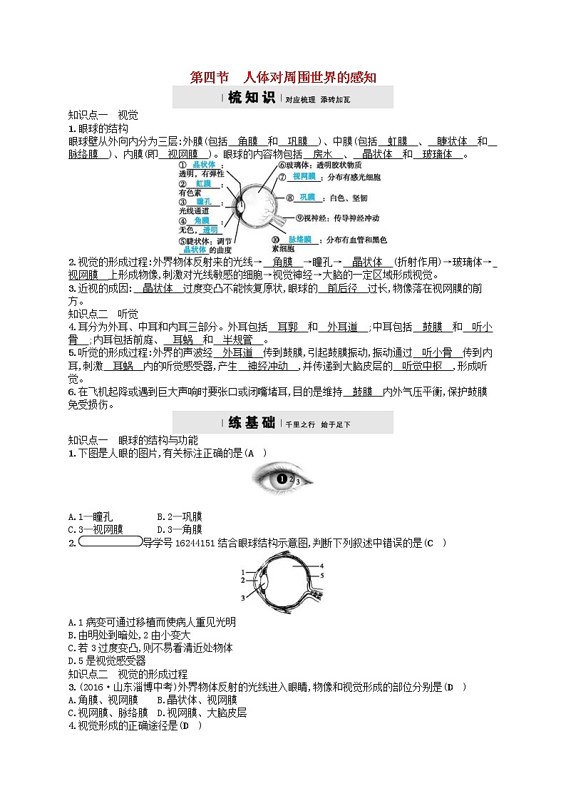 济南版七年级生物下册3.5.4人体对周围世界的感知 检测(含答案)01