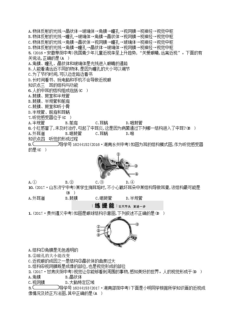 济南版七年级生物下册3.5.4人体对周围世界的感知 检测(含答案)02