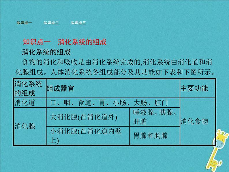 2021年济南版七年级生物下册3.1.2消化和吸收 课件(含答案)02