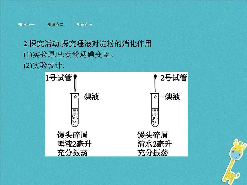 2021年济南版七年级生物下册3.1.2消化和吸收 课件(含答案)07