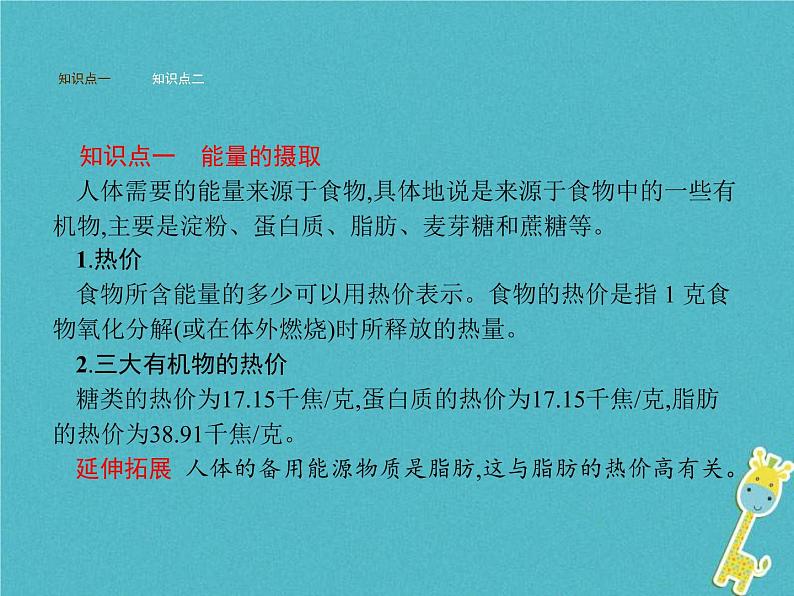 2021年济南版七年级生物下册3.2.2人体内能量的利用 课件(含答案)02