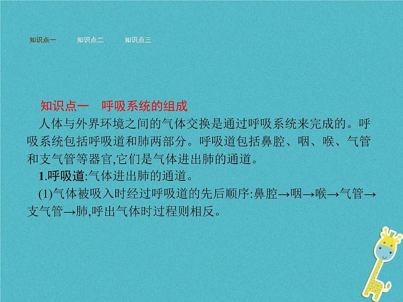 2021年济南版七年级生物下册3.2.1人体与外界的气体交换 课件(含答案)02