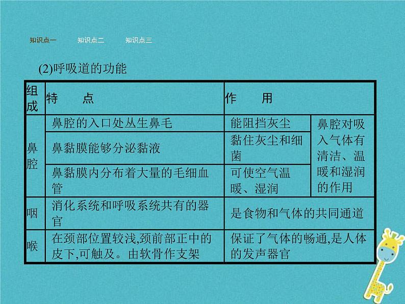 2021年济南版七年级生物下册3.2.1人体与外界的气体交换 课件(含答案)03