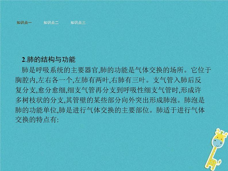 2021年济南版七年级生物下册3.2.1人体与外界的气体交换 课件(含答案)05