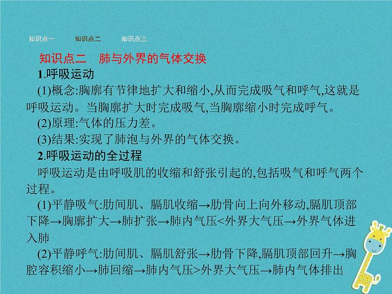 2021年济南版七年级生物下册3.2.1人体与外界的气体交换 课件(含答案)07