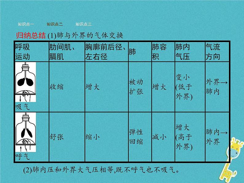 2021年济南版七年级生物下册3.2.1人体与外界的气体交换 课件(含答案)08