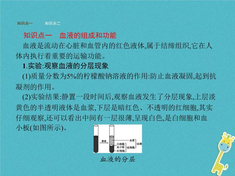 2021年济南版七年级生物下册3.3.1物质运输的载体 课件(含答案)02