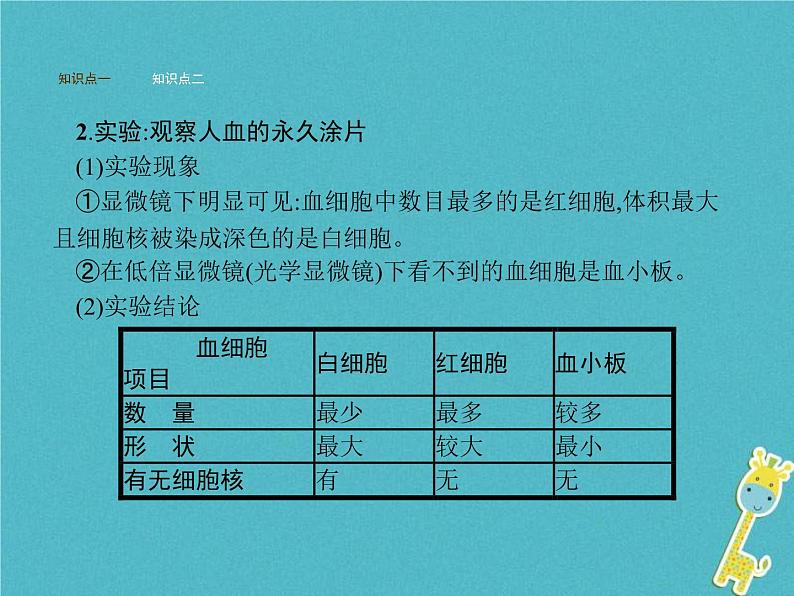 2021年济南版七年级生物下册3.3.1物质运输的载体 课件(含答案)05