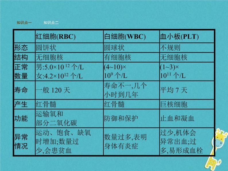 2021年济南版七年级生物下册3.3.1物质运输的载体 课件(含答案)07