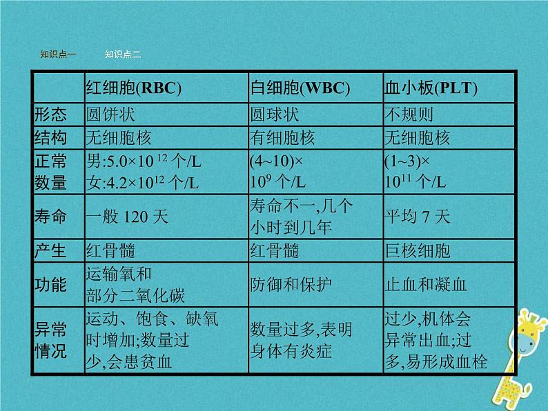 2021年济南版七年级生物下册3.3.1物质运输的载体 课件(含答案)07