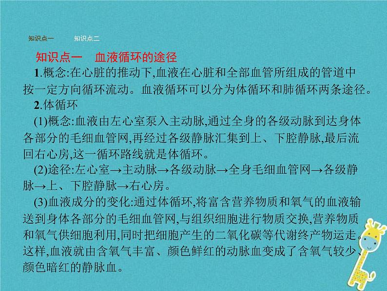 2021年济南版七年级生物下册3.3.3物质运输的途径 课件(含答案)02