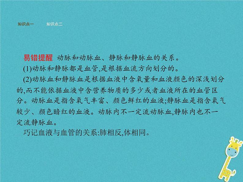 2021年济南版七年级生物下册3.3.3物质运输的途径 课件(含答案)05