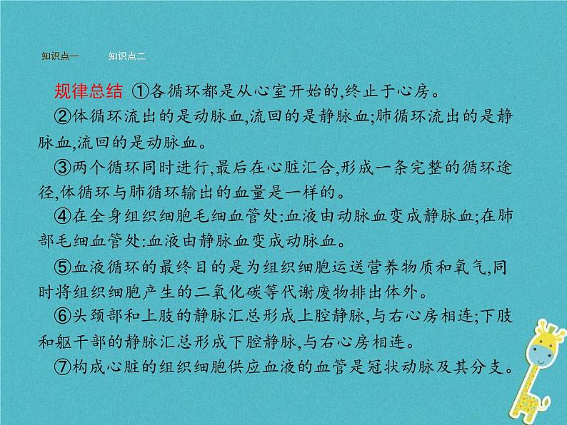 2021年济南版七年级生物下册3.3.3物质运输的途径 课件(含答案)07