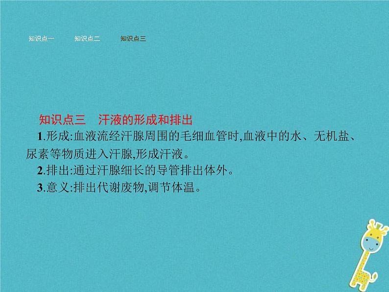 2021年济南版七年级生物下册3.4.2汗液的形成和排出 课件(含答案)05