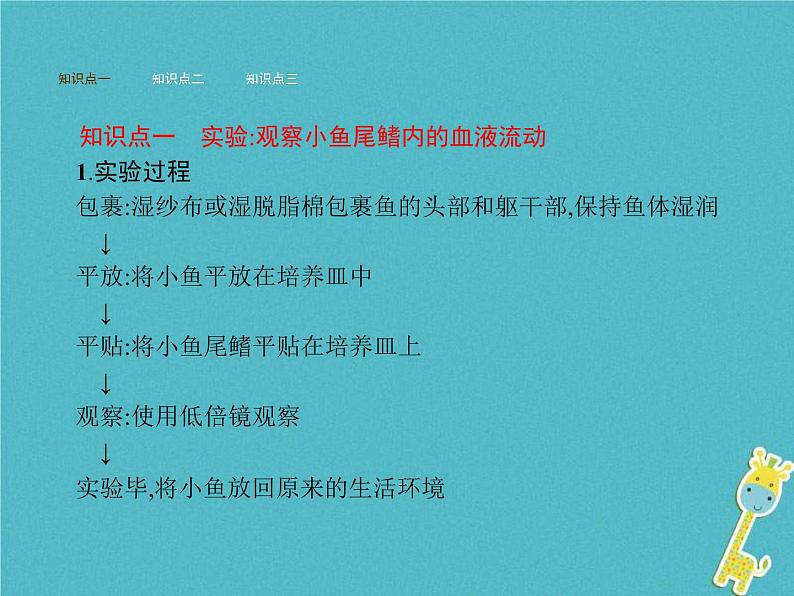 2021年济南版七年级生物下册3.3.2物质运输的器官 课件(含答案)02