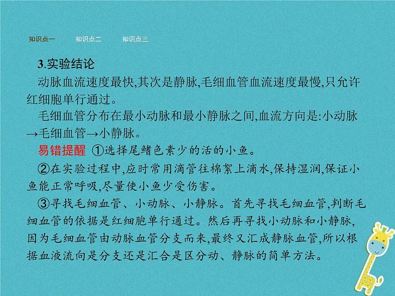 2021年济南版七年级生物下册3.3.2物质运输的器官 课件(含答案)04