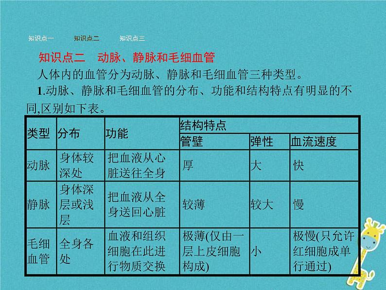 2021年济南版七年级生物下册3.3.2物质运输的器官 课件(含答案)05