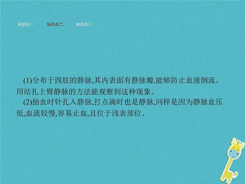 2021年济南版七年级生物下册3.3.2物质运输的器官 课件(含答案)06