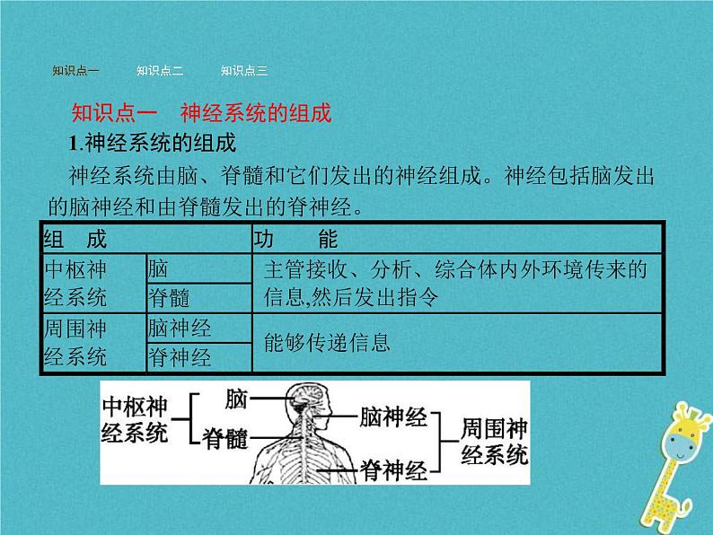 2021年济南版七年级生物下册3.5.2神经调节的结构基础 课件(含答案)02