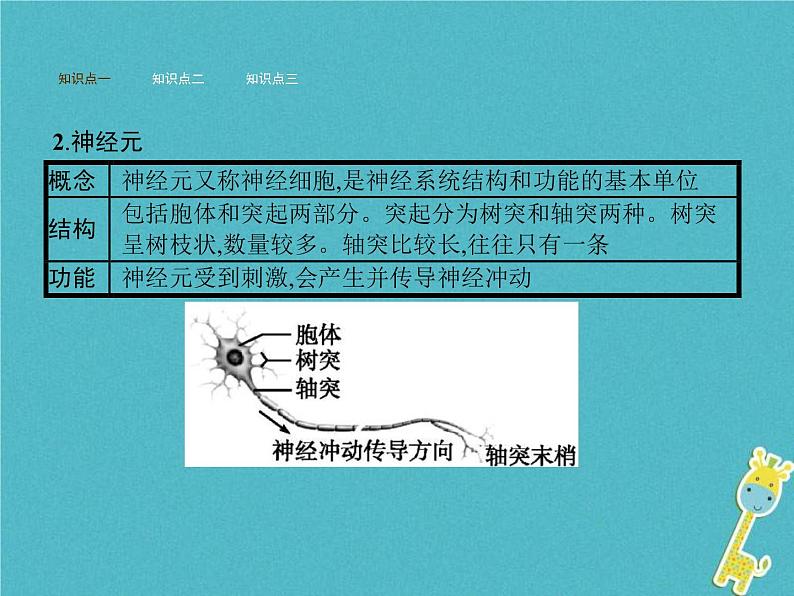 2021年济南版七年级生物下册3.5.2神经调节的结构基础 课件(含答案)03