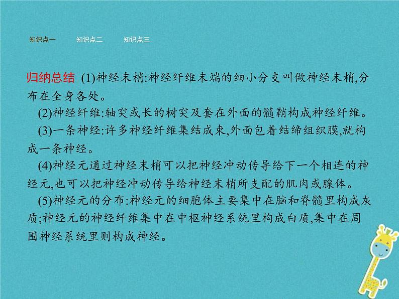 2021年济南版七年级生物下册3.5.2神经调节的结构基础 课件(含答案)04