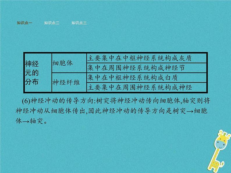 2021年济南版七年级生物下册3.5.2神经调节的结构基础 课件(含答案)05