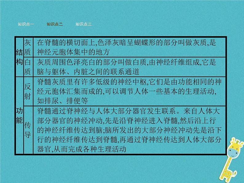 2021年济南版七年级生物下册3.5.2神经调节的结构基础 课件(含答案)07