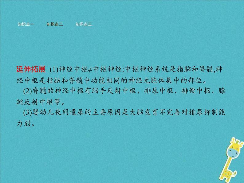 2021年济南版七年级生物下册3.5.2神经调节的结构基础 课件(含答案)08