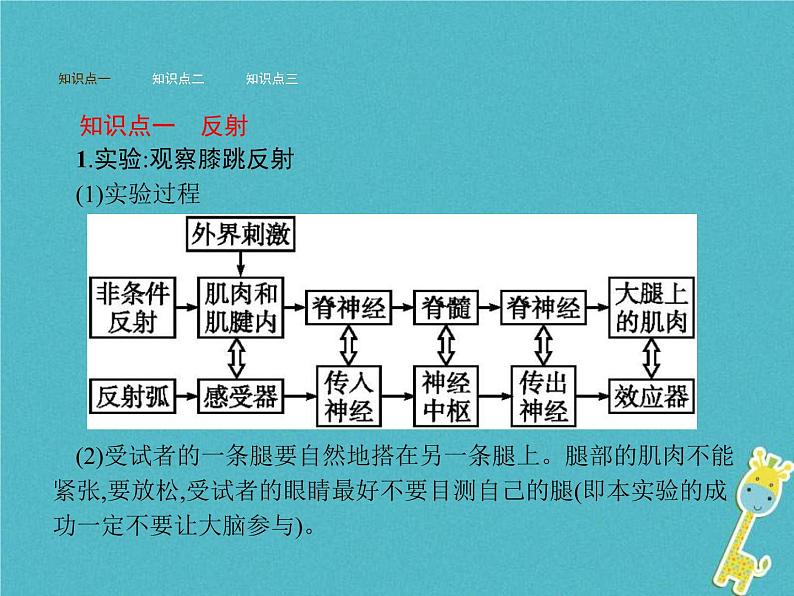 2021年济南版七年级生物下册3.5.3神经调节的基本方式 课件(含答案)02