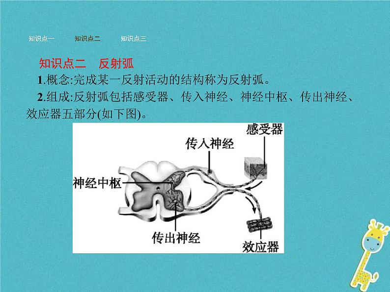 2021年济南版七年级生物下册3.5.3神经调节的基本方式 课件(含答案)05