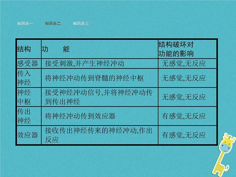 2021年济南版七年级生物下册3.5.3神经调节的基本方式 课件(含答案)06