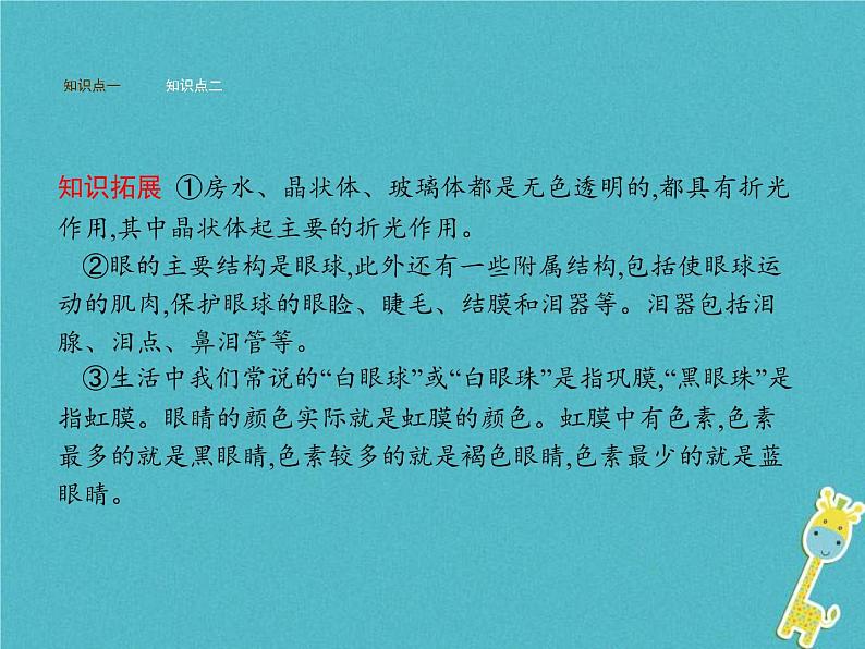 2021年济南版七年级生物下册3.5.4人体对周围世界的感知 课件(含答案)04